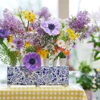 Leucanthemum vulgare Ammi Visnaga Allium Neapolitanum Flocon Syringa Dark Koster Narcis Grand Soleil DOr Scabiosa atropurpurea Saura Anemone coronaria' Galil Pastel' Roos Tros Coral Bubbles