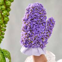 Limonium sinuatum (gedroogd)