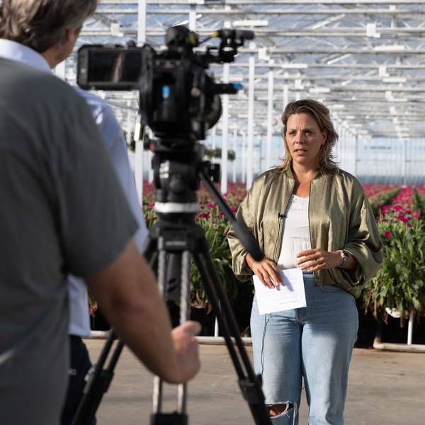 LG Flowers Klimaatbewust Werkt