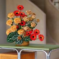 Anthurium crystallinum 'Karma Crystal' Gerber Spider Praise Rosa toffee Chrysanthemum Kalimba Banksia Dryandra ( gedroogd)