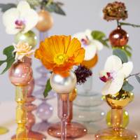 Phalaenopsis - Skimmia - Lisianthus - Eucalyptus - Papaver - Rosa (Polyantha Grp)
