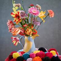 Ranunculus - Dianthus - Gerbera - Dianthus caryophyllus - Antirrhinum majus - Tulipa Image