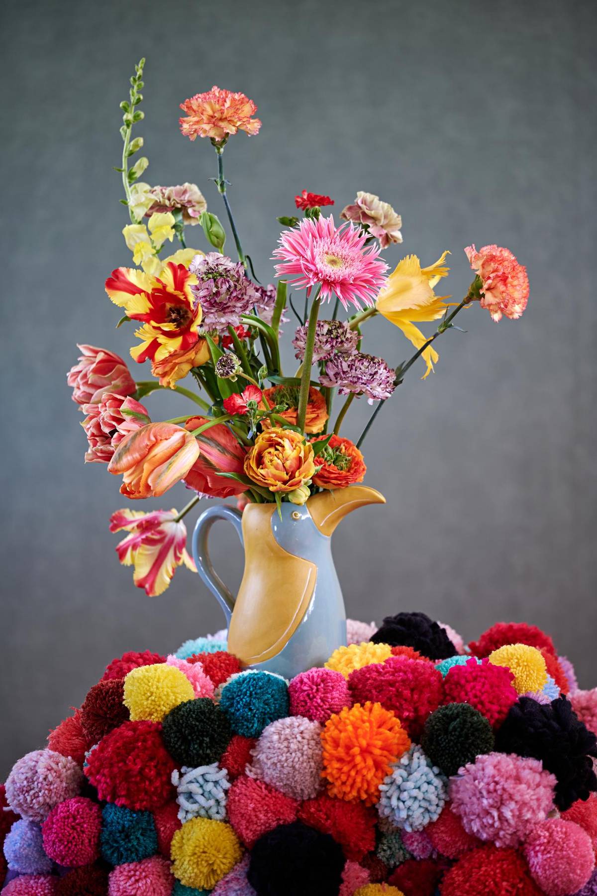 Ranunculus - Dianthus - Gerbera - Dianthus caryophyllus - Antirrhinum majus - Tulipa_thumbnail