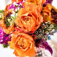 Rosa