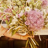Sanguisorba - Achillea - Allium - Alstroemeria - Amaranthus