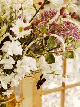 Sanguisorba - Achillea - Allium - Alstroemeria - Amaranthus - Asclepias - Freesia-0_thumbnail