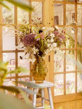 Sanguisorba - Achillea - Allium - Alstroemeria - Amaranthus - Asclepias - Freesia_thumbnail