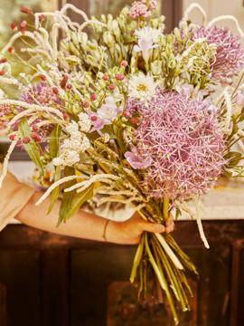 Sanguisorba - Achillea - Allium - Alstroemeria - Amaranthus_thumbnail