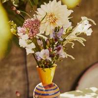 Sanguisorba - Achillea - Dahlia - Freesia - Lathyrus