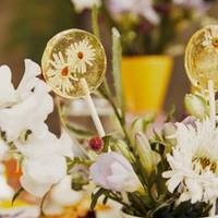 Sanguisorba - Freesia - Lathyrus - Leucanthemum - Lisianthus