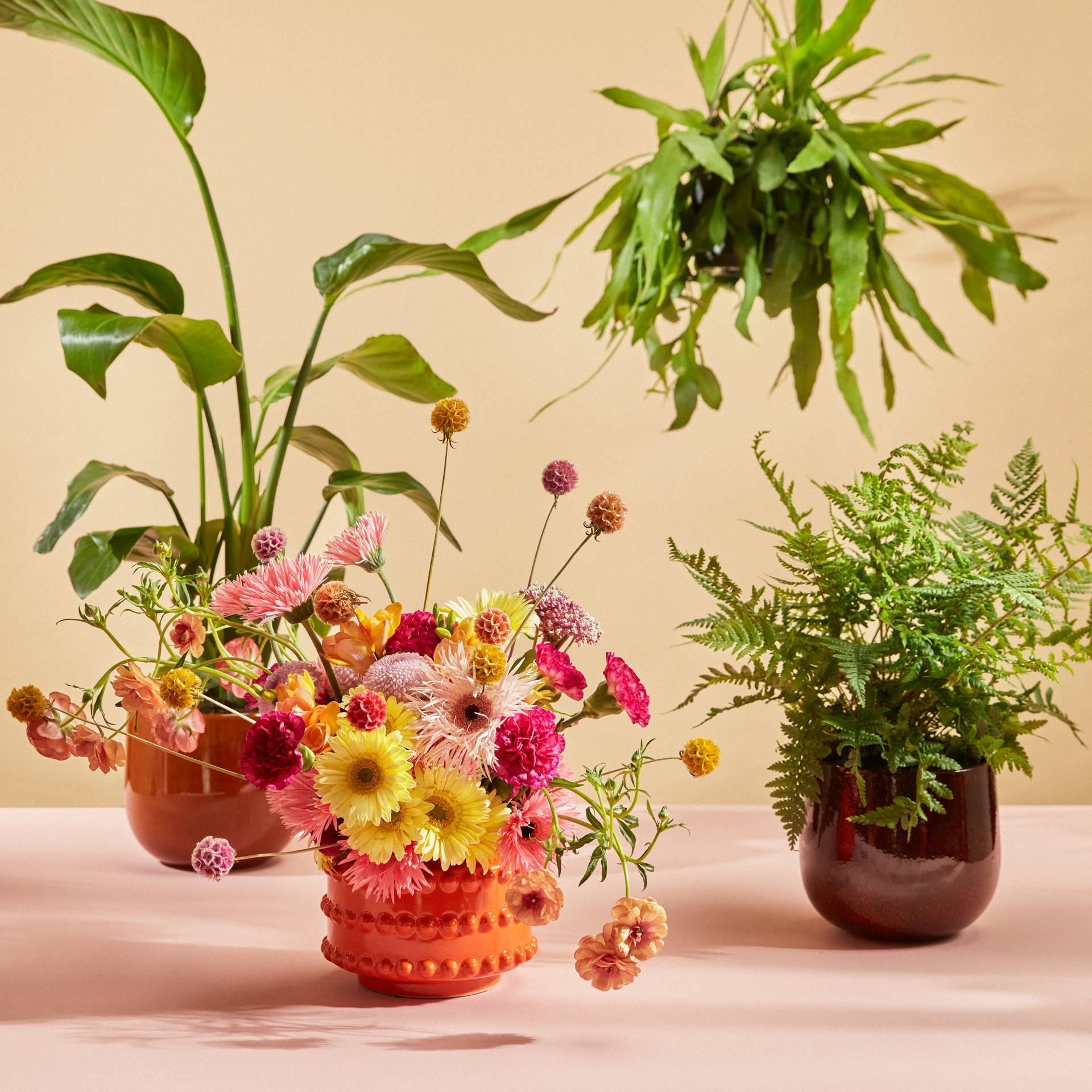 Bloemen en planten