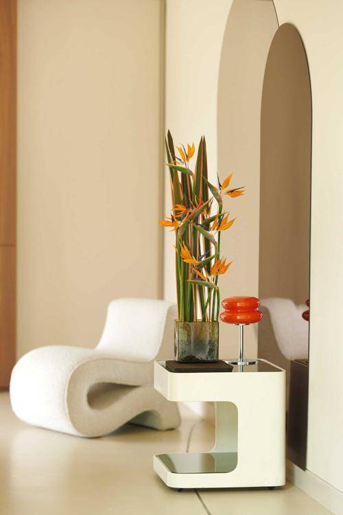 Strelitzia - Phormium evening glow_thumbnail