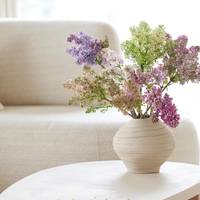 Syringa vulgaris