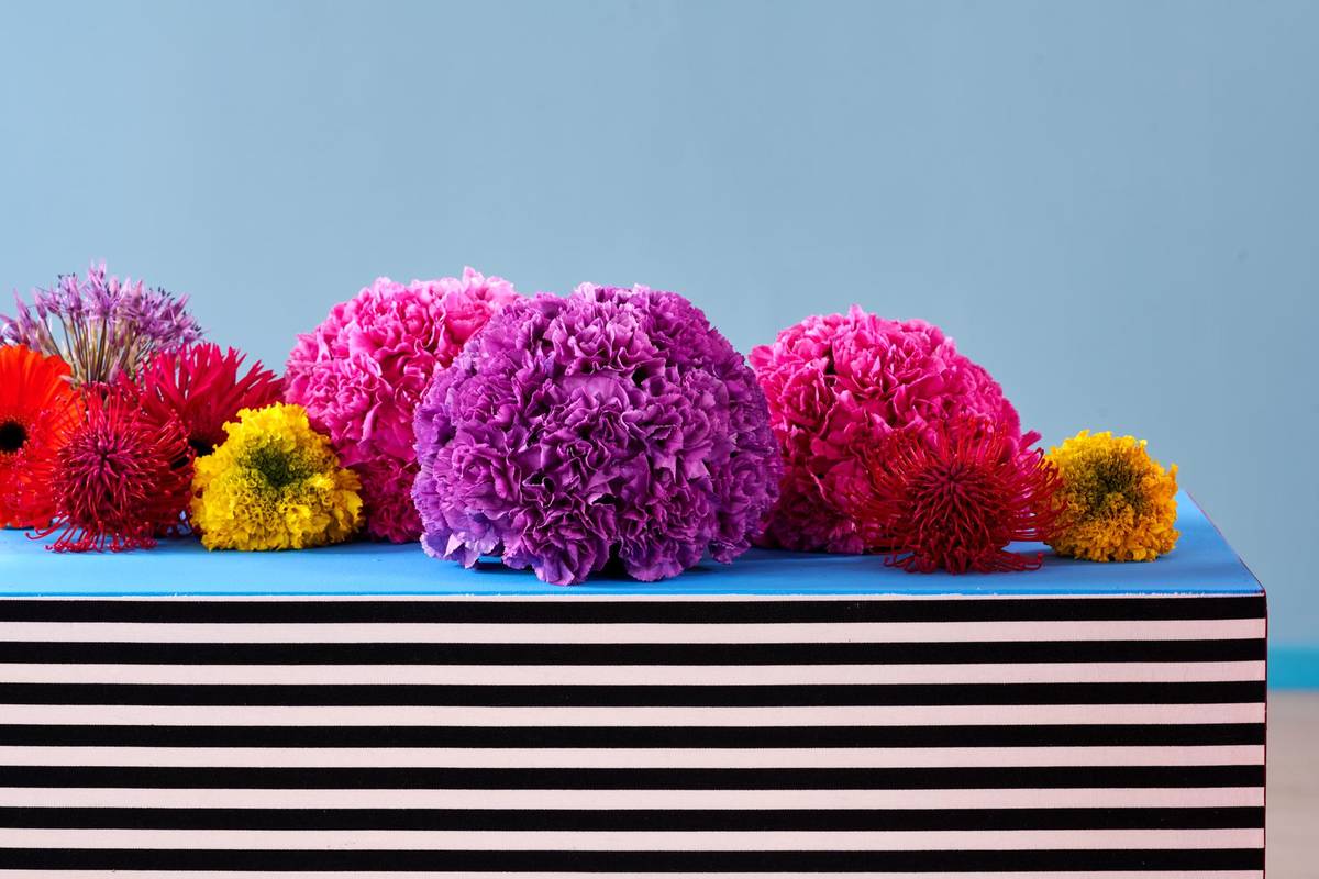 Tagetes Erecta Grp - Allium - Leucospermum - Dianthus caryophyllus_thumbnail