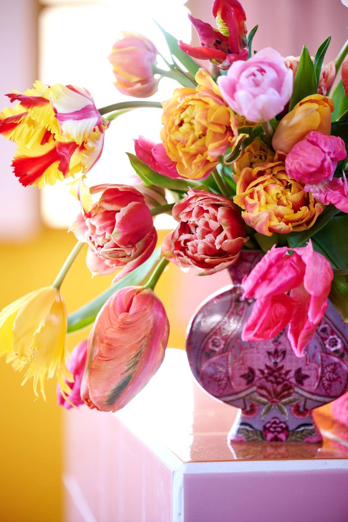 Tulipa-134_thumbnail