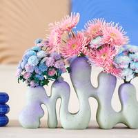 Chrysanthemum santini Dusty Mermaid Gerbera pasta Emma
