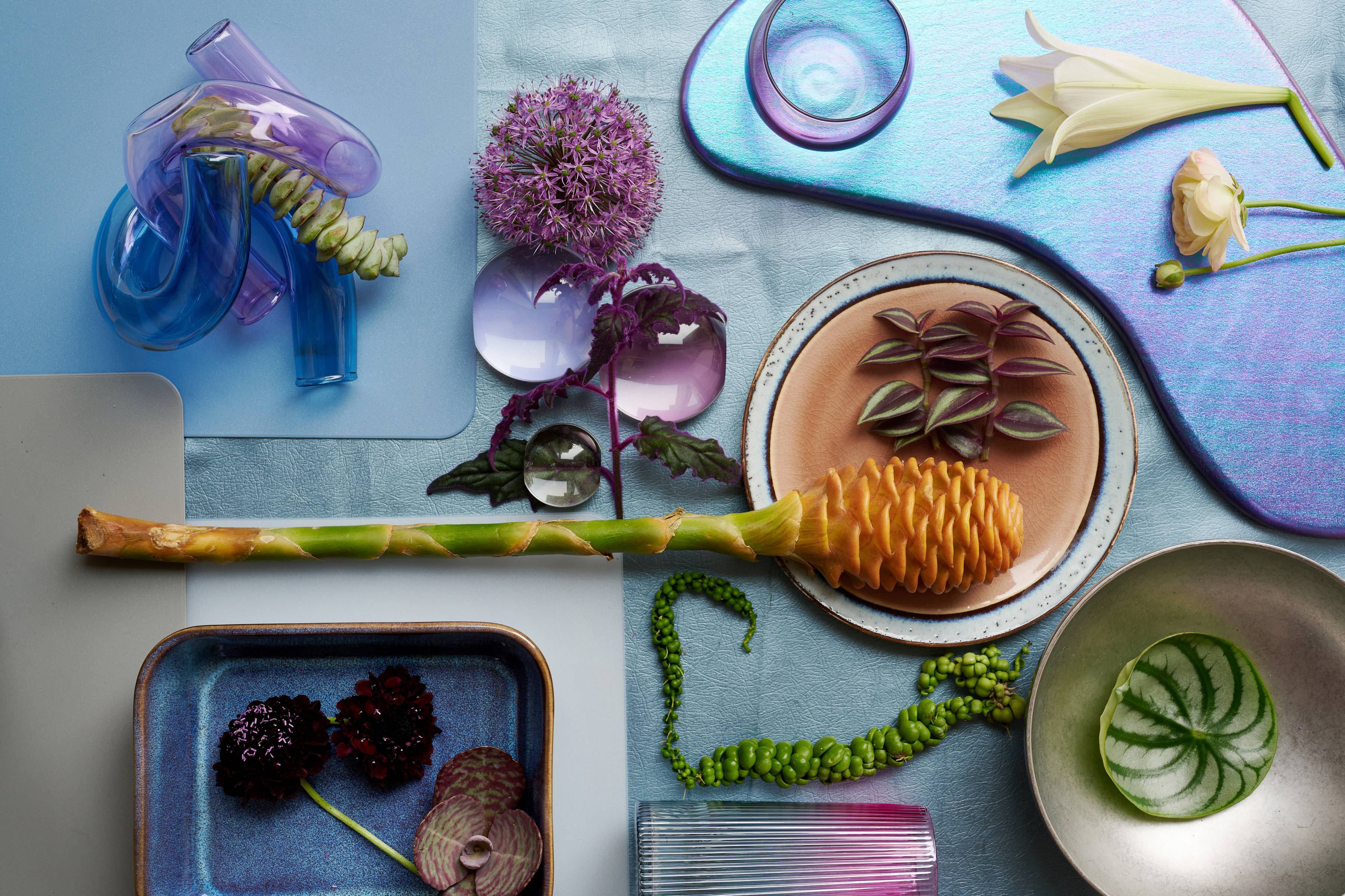 bloemenbureau_holland_trends-2025-cosmic_future-cf_moodboard_med_0
